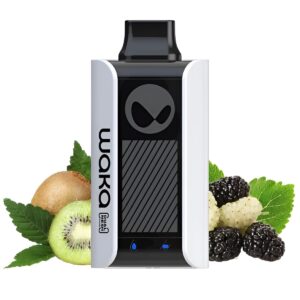 Электронная сигарета WAKA PA10000 Киви Шелковица