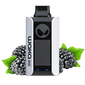 Электронная сигарета WAKA PA10000 Ежевика