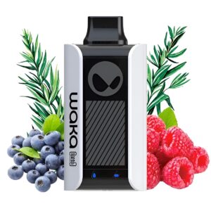 Электронная сигарета WAKA PA10000 Ягодный тархун