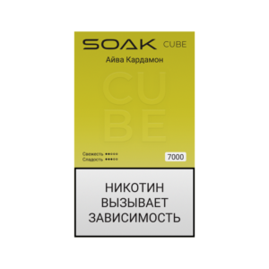 Электронная сигарета SOAK CUBE Айва Кардамон