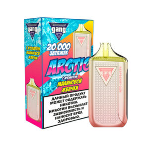 Электронная сигарета GANG ARCTIC Малиновая жвачка