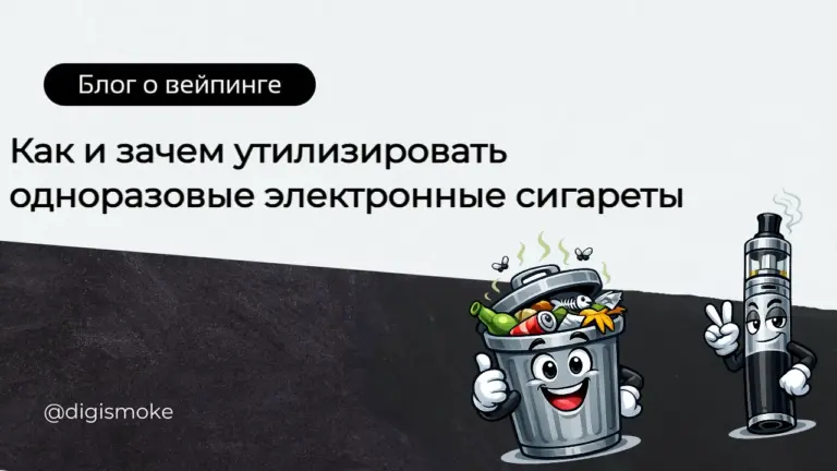 статья Digismoke - утилизация электронок